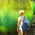 12166235_10207941949694514_1055283731_n