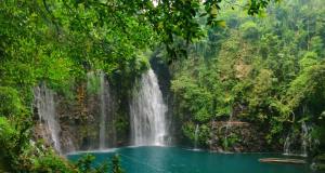 12167434_10207941949334505_817313124_n