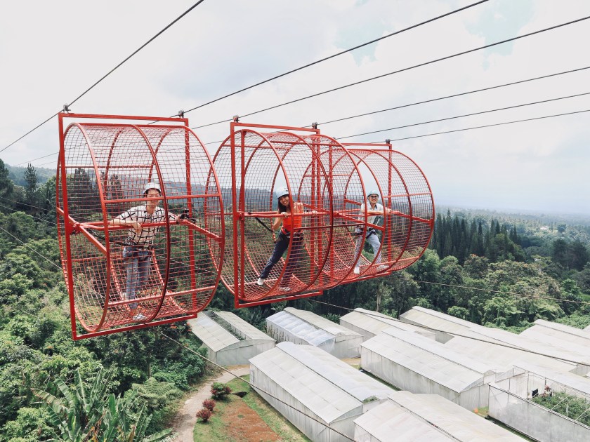 A242E8FC-0C98-437D-BC8D-48736A217401