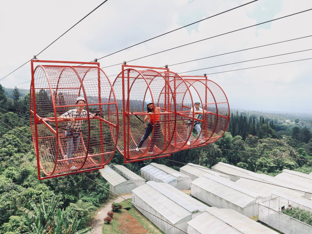 A242E8FC-0C98-437D-BC8D-48736A217401