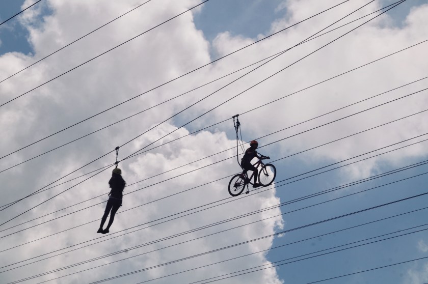 D386FA07-97B6-497B-9EE1-89EE3C1F1DE3