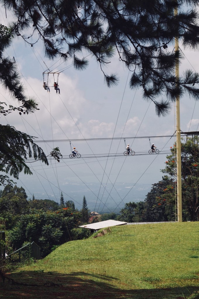 E58F303D-6B81-4C7B-B42A-22886DD1C3CE