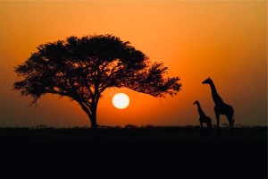 CB13E9B9-AC35-4C27-8930-F3DC3E7F3283