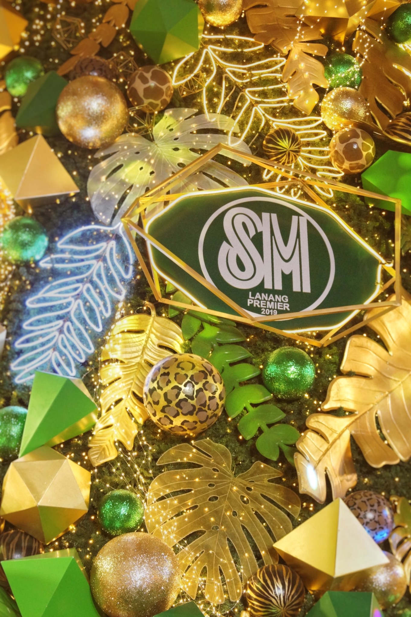 884B8F74-C7AC-4C08-BE9F-432F7C7DDFE6