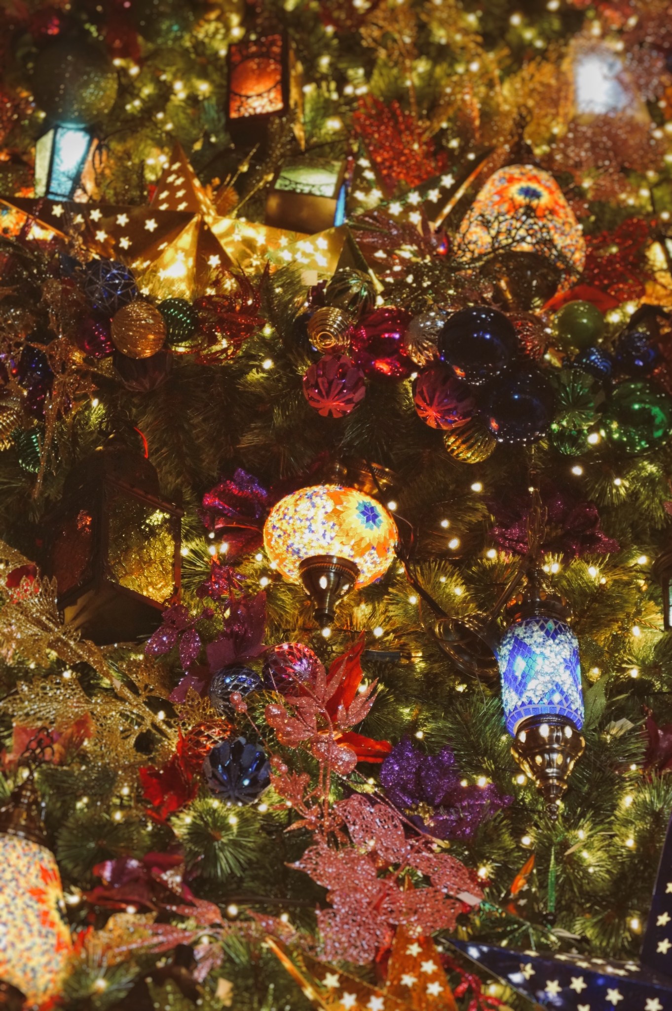 E3E876E2-4907-4B09-A62A-DEFD2BB8A7EE